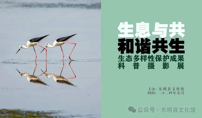 资讯