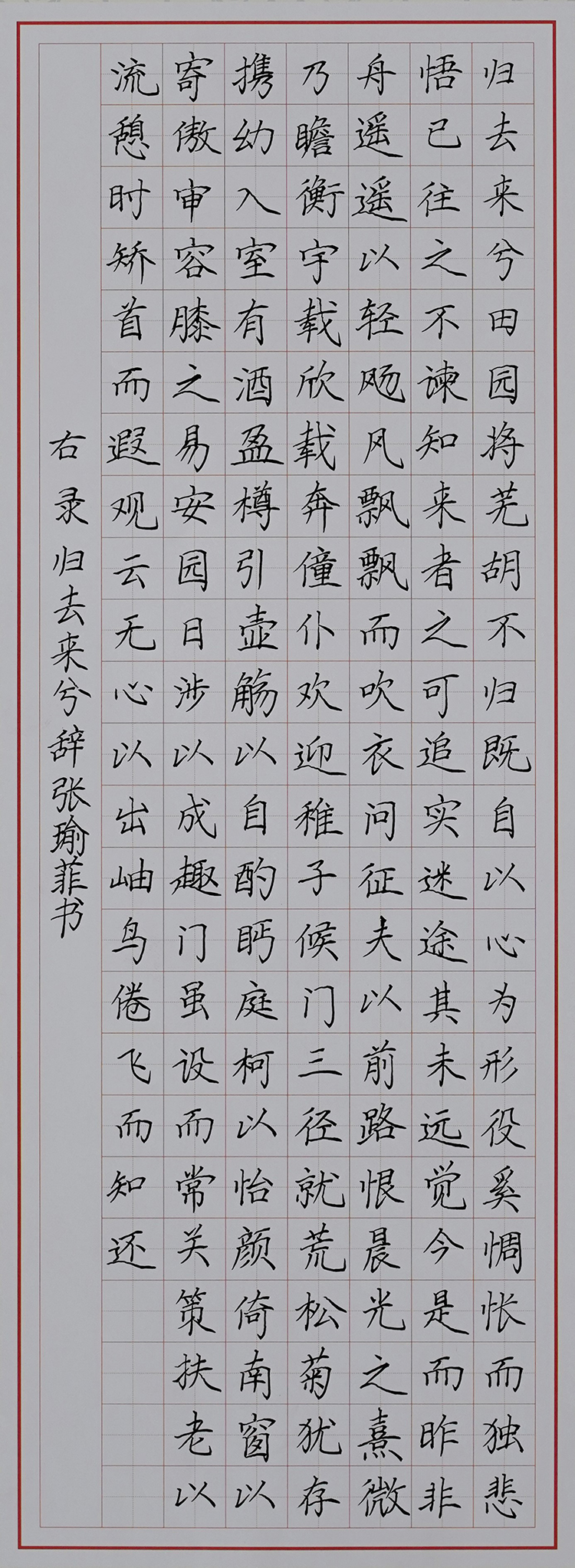 张瑜菲.JPG